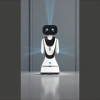 Product Introduction of the Welcoming Robot Intelligent Dialogue details Picture